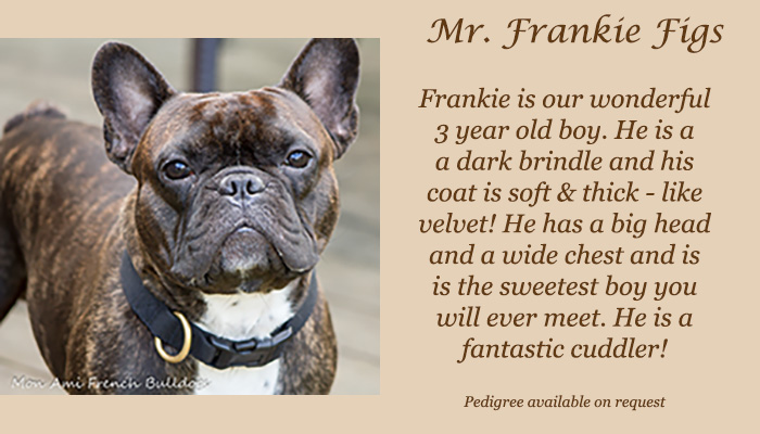 Mr. Frankie Figs